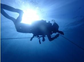 プランの魅力 大瀬崎 の画像
