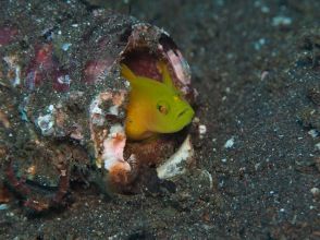 プランの魅力  の画像