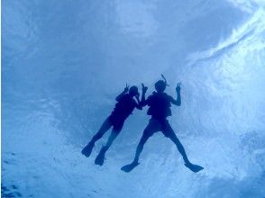 プランの魅力 Free photo data! の画像