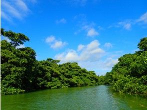 プランの魅力 フィールドは国指定の天然記念物！ の画像