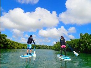 プランの魅力 初心者でも安心！ の画像