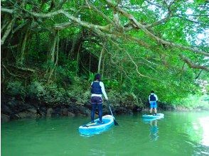 プランの魅力 SUP(Stand Up Paddleboarding) の画像
