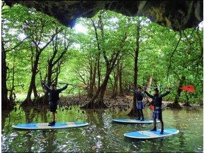 プランの魅力 맹그로브와 바다, 모두 능숙! の画像