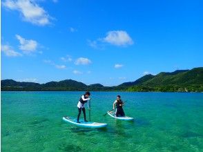 プランの魅力 川平湾SUP/カヌー の画像