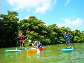 プランの魅力 Miyara River Mangrove SUP / Canoe の画像