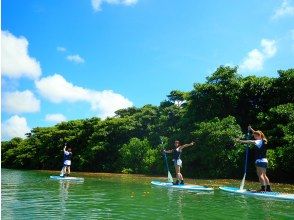 プランの魅力 マングローブと海、両方堪能！ の画像