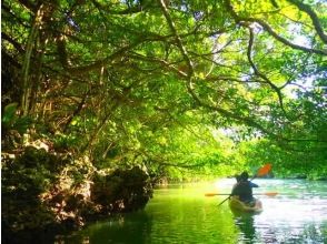 プランの魅力 国家指定天然纪念物“宫良川的桧木林” の画像