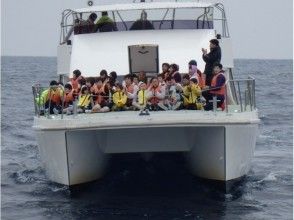プランの魅力 弊社自慢の揺れに強い「カタマラン船!」 の画像
