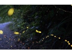 プランの魅力 夏場はホタルも! の画像