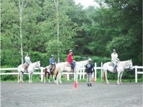 プランの魅力 Lessons on basic horse operations in the horse field! の画像