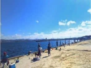 プランの魅力 Fishing point [Tateyama port / revetment] の画像