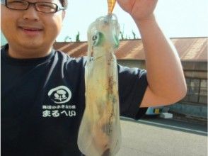 プランの魅力 Squid is squid! Egging is also ◎! の画像