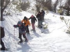 プランの魅力 雪があるときにだけ歩けるスポット の画像