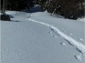 プランの魅力 フカフカの雪に足跡を の画像