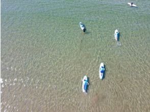 プランの魅力 クリアなビーチでLet's Surfing！！ の画像