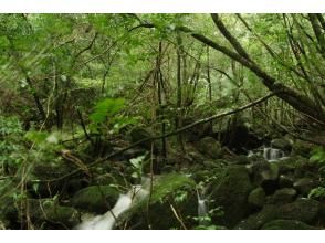 プランの魅力  の画像