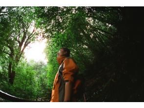 プランの魅力  の画像