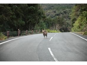 プランの魅力  の画像