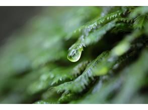 プランの魅力  の画像