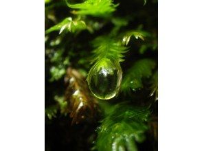 プランの魅力  の画像