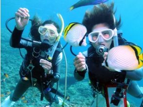 プランの魅力 [Blue cave diving] の画像