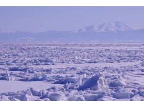 プランの魅力 流氷に覆われるオホーツク海 の画像