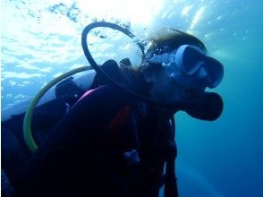 プランの魅力 Experience diving is not enough! の画像