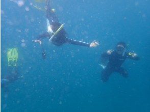 プランの魅力  の画像