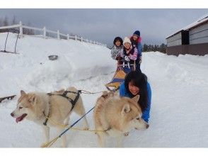 プランの魅力 大人気の犬ぞり体験 の画像