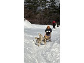 プランの魅力  の画像