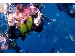 プランの魅力 Children can also participate. の画像