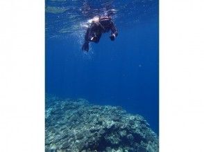 プランの魅力 Participation is possible from one person! Inexperienced snorkelers are also welcome! の画像