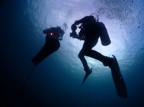 プランの魅力 11月から3月まで抜群の碧 の画像