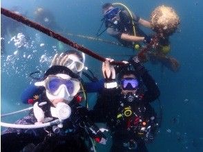 プランの魅力 ボートダイビング の画像