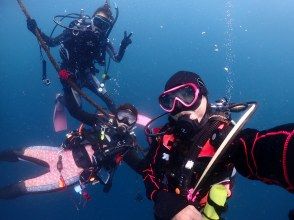 プランの魅力 セブンシーズ湘南本店 の画像