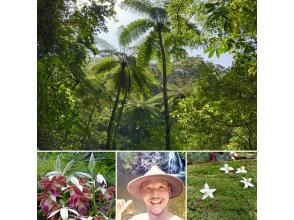 プランの魅力 Superb view, World Heritage candidate, Kinsaku virgin forest の画像