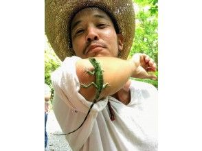 プランの魅力 野生動物の宝庫! の画像