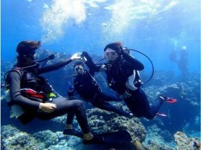 プランの魅力 お客様専属インストラクターガイド の画像