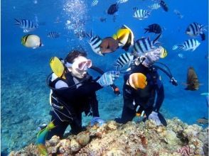 プランの魅力 熱帯魚餌付け体験付き の画像