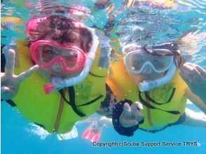 プランの魅力 Beach snorkeling の画像