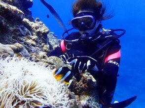 プランの魅力 Diving の画像