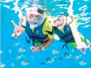 プランの魅力 すぐそこに広がる、カラフルな海の世界。 の画像