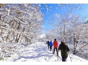 プランの魅力 女性ガイドがご案内 の画像