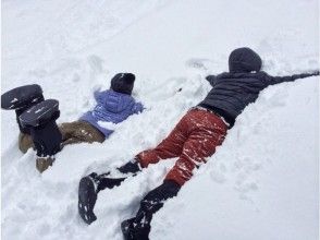 プランの魅力 粉雪まみれ の画像