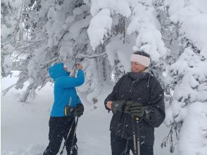 プランの魅力  の画像