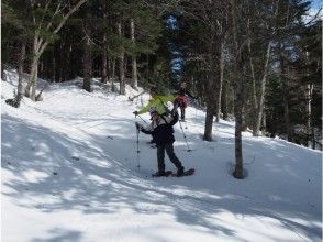 プランの魅力 森の中も歩きます の画像