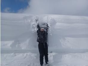 プランの魅力  の画像