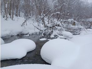 プランの魅力  の画像