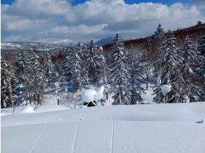 プランの魅力  の画像