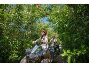 プランの魅力 버기 숲 코스 の画像